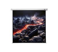 Celexon Economy electric screen - Écran de projection - montable au plafond, montable sur mur - motorisé - 130" (330 cm) - 1:1