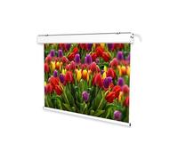 Écran de projection motorisé celexon Expert 250 x 156 cm