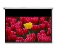 Optoma Écran de projection motorisé DE-9106EGA 16:9 106" Blanc mat