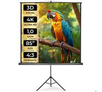 ECRAN DE PROJECTION - TECTAKE - Toile Ecran de Projection pour Vidéo Projecteur avec 1 Trépied Réglable 160x90x220cm - Blanc