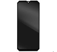 Écran LCD et Vitre Tactile pour Blackview BV7100 Noir