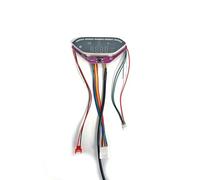 Écran LCD de rechange pour trottinette électrique SmartGyro Z-One SG27-392 avec câble F10mobility