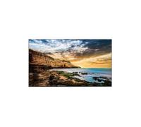 Écran LFD - SAMSUNG - QE65T - 65 pouces 4K - MagicINFO intégré - 300 cd/m²