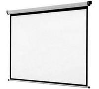 Ecran mural appp200 (200 x 200 cm)