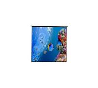 Ecran mural electrique appp240e (240 x 240 cm)