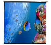 Ecran mural electrique approx! appp240e (240 x 240 cm) G