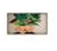 Ecran Ordinateur Videowall Philips 32BDL4511D 00 32 pouces G