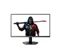 Ecran PC Gamer 24E3 24" 165 Hz Full HD Noir