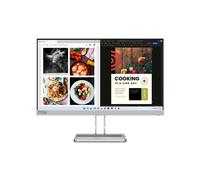 Lenovo L24i-40 LED display 60,5 cm (23.8") 1920 x 1080 pixels Full HD Gris