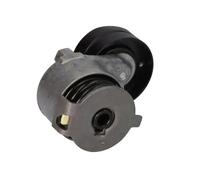 Poulie roue libre, alternateur BTA E4M028BTA