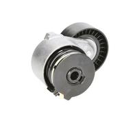 Poulie roue libre, alternateur BTA E4R003BTA