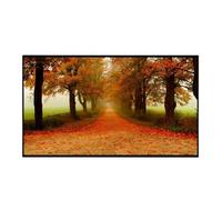 Écrans de projecteur 16:9 120 Pouces, Bord Libre, Cristal Noir, absorbe la lumière ambiante, écran ALR, 3D 4K