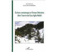 Ecriture romanesque et formes littéraires dans l'oeuvre de Ezza Agha Malak - Ezza Agha Malak - L'harmattan - broché - Essai