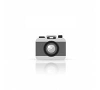 Ecross GO/GT PRO Ecran/UrbanGlide - Compatible DISPLAY - Pièce détachée trottinette électrique originale
