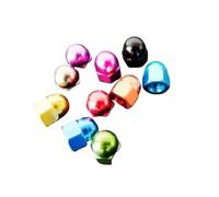 Écrou Borgne Hexagonal 10 pièces écrou à capuchon de gland