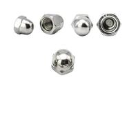 Écrou borgne hexagonal en acier inoxydable, filetage fin métrique, 1 à 5 pièces, M8, M10, M12, M14, M16(M10x1.25 5pcs)