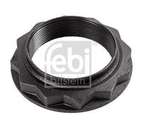 Écrou Bout D'essieu Febi Bilstein 46180 pour Iveco Essieu Arrière