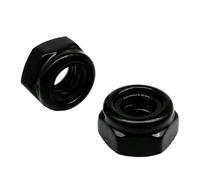 Écrou de blocage hexagonal autobloquant en acier inoxydable 304 noir, 2/10/25 pièces, M2, M2.5, M3, M4, M5, M6, M8, M10, M12, avec insert en nylon(25pcs M2)