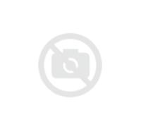 ÉCROU DE BOULON DE ROUE FORD ALU