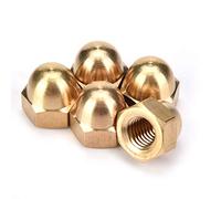 Écrou de Dôme, écrou Hexagonal Borgne, Boulons à Filetage Femelle en Laiton Couvrent les écrous de Dôme pour la Protection des Attaches de Véhicule Intérieur Extérieur(M8 (10PCS))