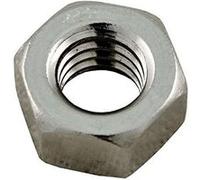 Écrou de tige de fixation pour filtre de piscine à diatomée Pro Grid - ECX176865 - Hayward Gris G