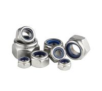 Écrou hexagonal autobloquant en nylon et acier inoxydable 304, lot de 1, 5, 10 ou 20 pièces, M2, 5, M3, M4, M5, M6, M8, M10, M12, M14, M16, M18, M20, M22(M20 x1pc)