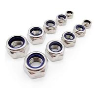 Ecrou Hexagonal Écrou autobloquant en nylon, 2/5/20/25/50 pièces, M2, M2.5, M3, M3.5, M4, M5, M6, M8, M10, M12, M16, acier inoxydable 304, hexagone, insert en nylon(2pcs M14)