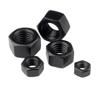 Écrou hexagonal en acier inoxydable 304 noir carbone, 1 pièce, 2 pièces, 5 pièces, 10 pièces, 20 pièces, 50 pièces(M24 x1pc)
