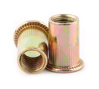 Écrous à riveter filetés M6 écrous à riveter aveugles en acier au carbone zingué M3-M10 écrous filetés en acier inoxydable pour la tôle et autres industries manufacturières (100 pièces/paquet)