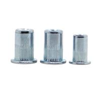 Écrous borgnes, écrous hexagonaux, 100 pièces M3 M4 M5 M6 M8 M10 M12 bleu et blanc en acier au carbone zingué plaqué écrou à tête plate fileté rivet écrou à tête plate écrou à tête plate(M10)