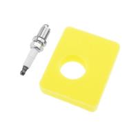 ECSiNG Kit d'entretien de Filtre à Air 799579 Compatible avec Briggs & Stratton Les Moteurs Série 300e 450e 500e 550e 550ex avec Filtre à Air Spark K6RTC Plug