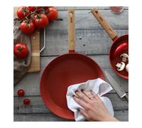 ECTOR Poêle revêtue céramique Paprika induction manche bois D24