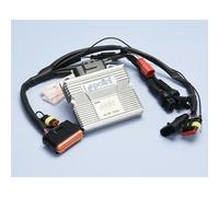 Polini Kit Ecu Piaggio Beberly 300 2017-2020