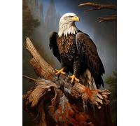 ECUCU Canevas Broderie Point de Croix Kit Complet, Aigle animal sur une branche sèche, 50 * 70cm, Kit Broderie Point de Croix Compté Imprimé Enfant DéButant Adulte, Easy Set Loisirs CréAtifs Broderie