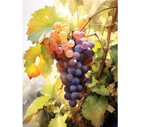 ECUCU Diamond Painting, Raisins sur la vigne aquarelle, C Peinture Diamant 5D, Kit de Peinture Diamant, Broderie Diamant Kit Complet Décoration Murale d'intérieur