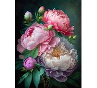 ECUCU Kit Point De Croix Imprimé Kit de broderie au point de croix imprimé pivoines roses en fleurs,F Pour Salon Chambre Décoration Autocollant Mural