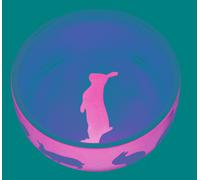 Ecuelle En Céramique Avec Motifs Pour Lapins Trixie