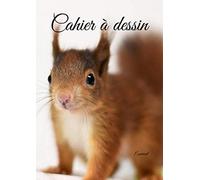 Ecureuil: Cahier à dessin - cadeau enfant fille garçon - 100 pages - A4 portrait - blanc
