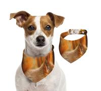 Écureuil Mignon Mangeant des Noix,Bandanas pour Chien, écharpe en Coton, Bavoirs réglables pour Animaux de Compagnie,L