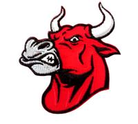 Ecusson Biker Animaux Taureau Vache Rouge Patch Badge Applique brodé-rie thermocollant