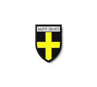 Ecusson Bord Brode Blason Imprime Thermocollant Ville Region Uk Saint David