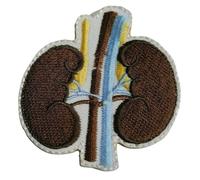 Écusson brodé à repasser ou à coudre - Motif organes humain - Reins