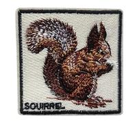 Écusson Écureuil Patch Thermocollant Animal Badge à Thermocollé transfert à coller au fer à repasser applique brodé à coudre réparation vêtement t-shirt sac à dos bébé enfant 6,2x6,2cm