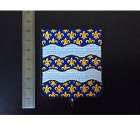 ECUSSON PATCHES AUFNAHER TOPPA - BLASON DEP 77 SEINE ET MARNE - THERMOCOLLANT