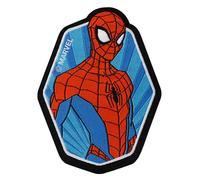 Ecusson Spiderman (Boite De 5)