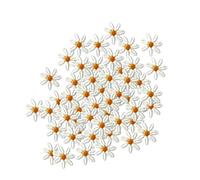 Ecusson Thermocollant 20 pièces, 50pcs Mini Pâquerettes Fleur Patch Brodé Coudre Sur Des Patchs for Vêtements Applique BRICOLAGE Pince À Cheveux Autocollants Sur Les Vêtements(50pcs in one pack)