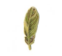 Ecusson thermocollant feuille verte et dorée 7x2cm