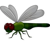 Écusson thermocollant Motif petite libellule 13 x 9 cm