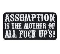 Écusson Thermocollant Patch de moral tactique | "Assumption is the mother of all fuck up's!" | Patch brodé | Insigne amusant | Applique pour veste/uniforme/cuir | 80x40mm