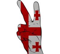 Écusson thermocollant Peace Finger Georgie 13 x 6 cm